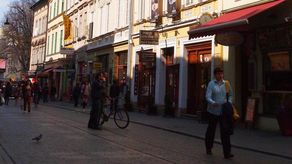 Golden Lion Guest Rooms Szewska 19 Krasków Exteriör bild